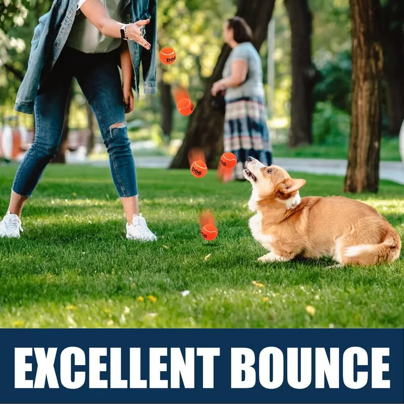 mix color dog tennis ball factory