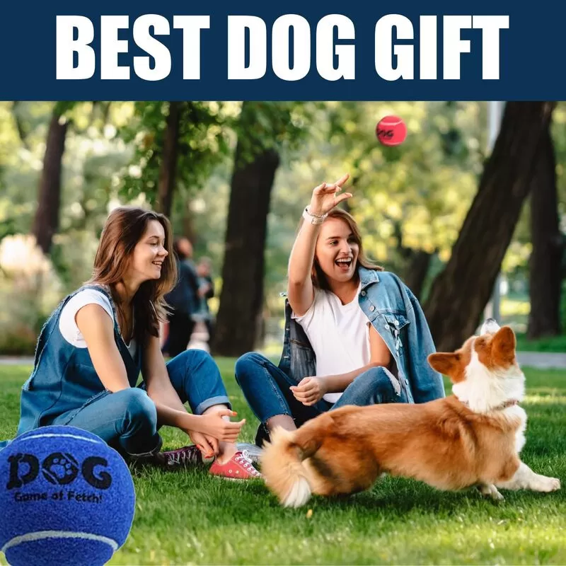 mix color dog tennis ball for sale