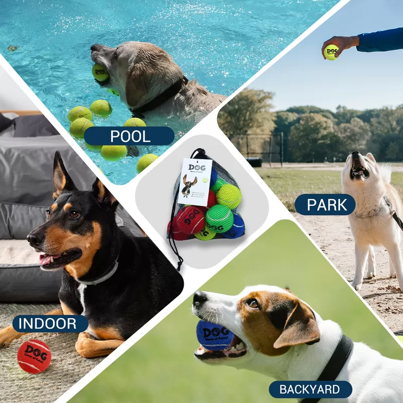 mix color dog tennis ball manufacturer