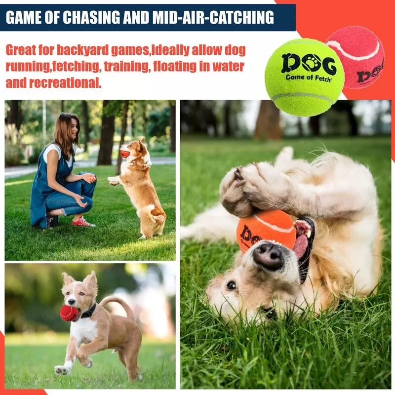 mix color dog tennis ball types