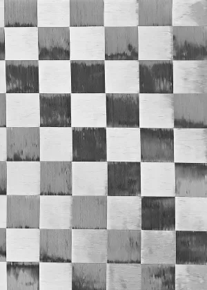 Material of Pro Paddle NXT02 Vortex