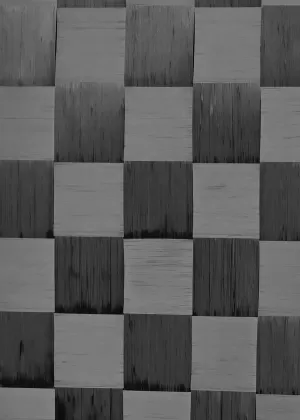 Material of Pro Paddle NXT02 Vortex