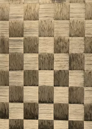 Material of Pro Paddle NXT02 Vortex