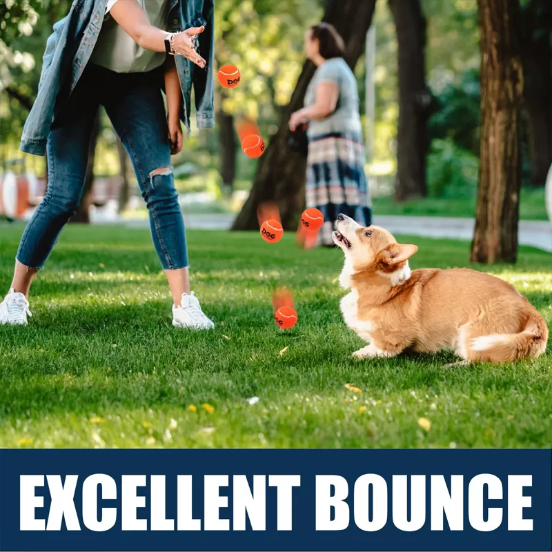 orange dog tennis ball supplier