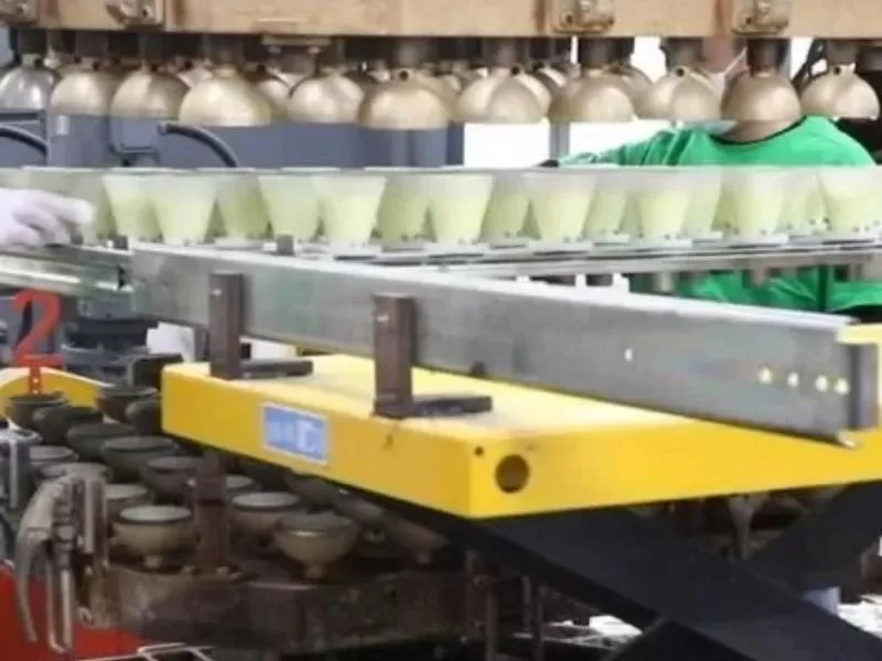 Pickleball Production Rotational Molding Finish