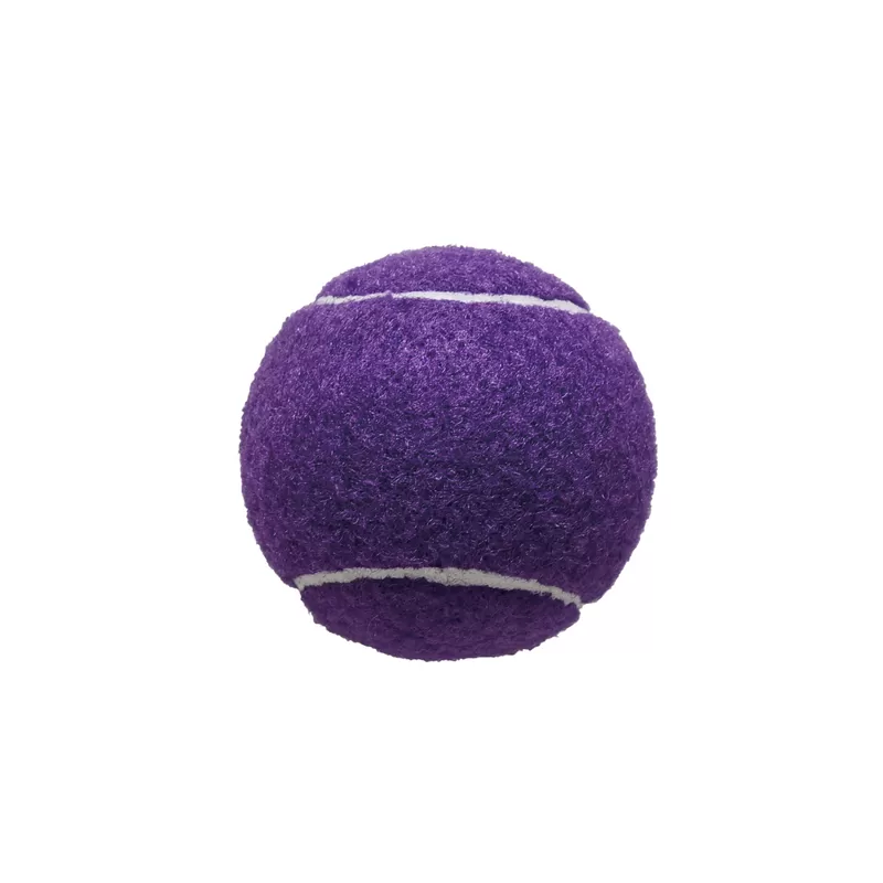 purple paddle ball china