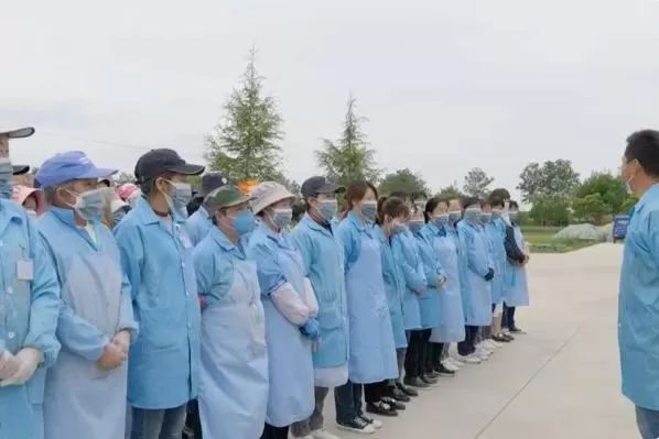 Rural Revitalization