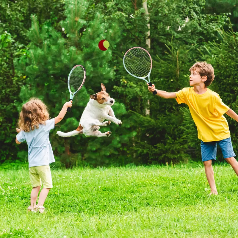 tnr afairytr88 supplier