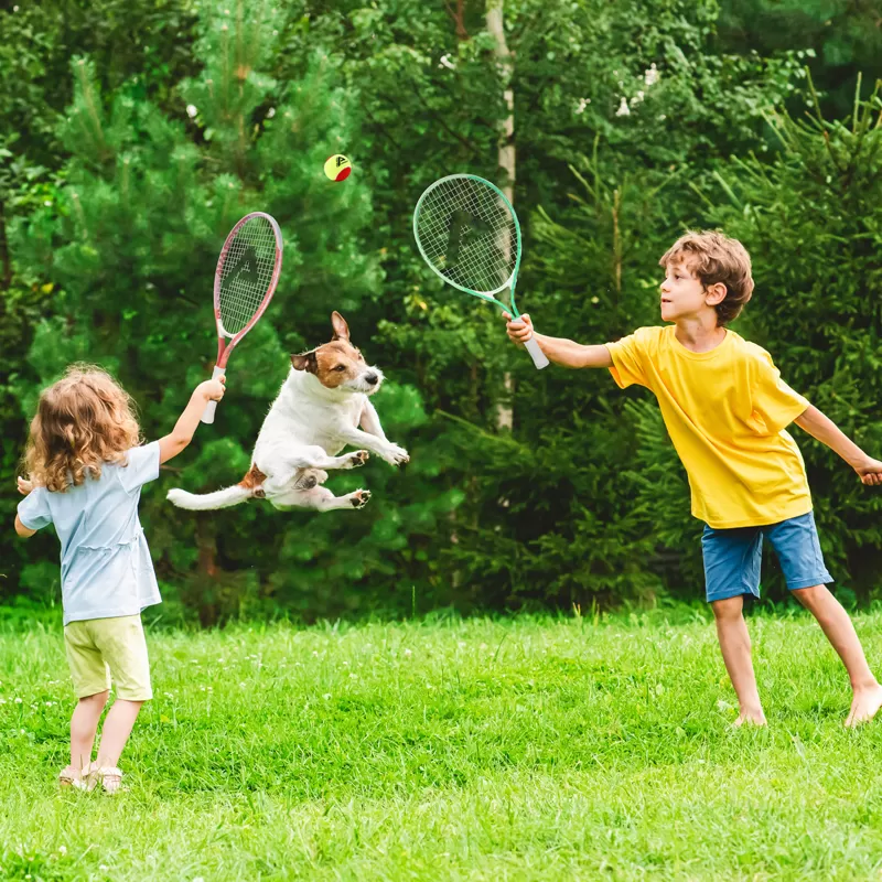 tnr akidx7479c grn company